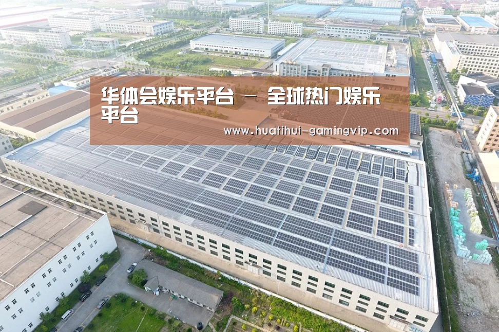 案例展示二