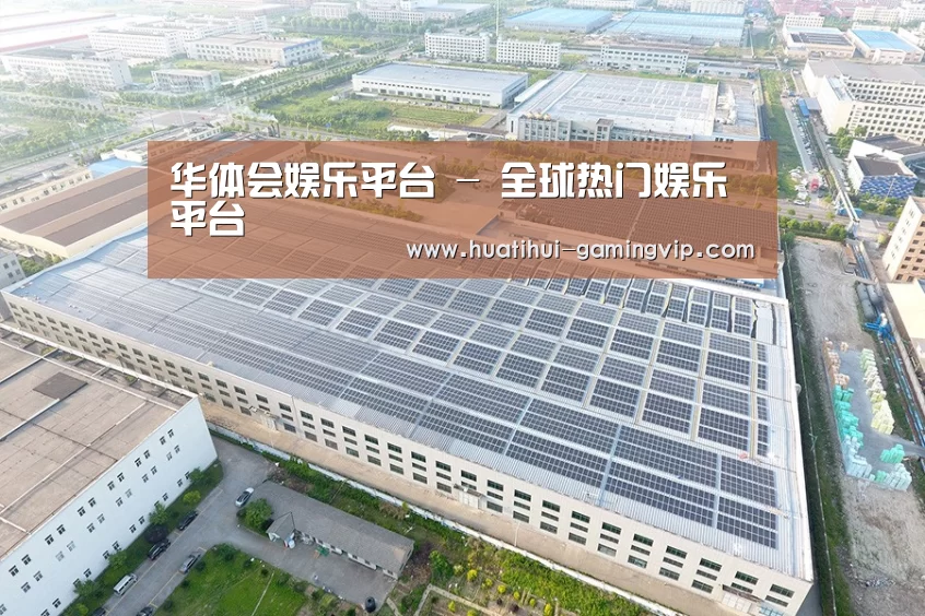 案例展示一