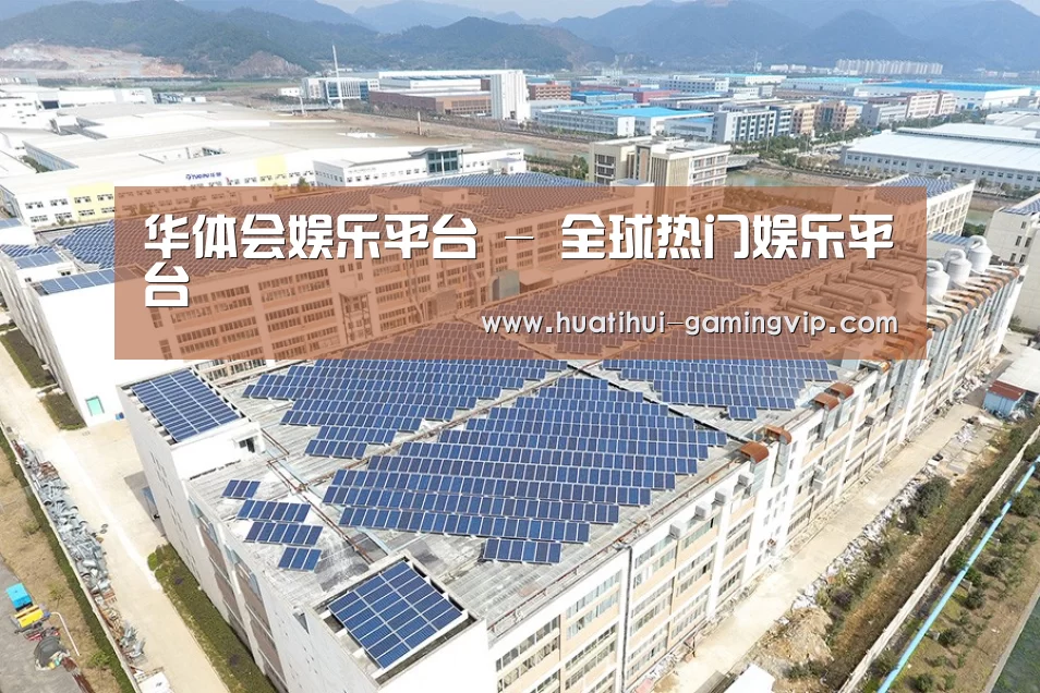 案例展示一