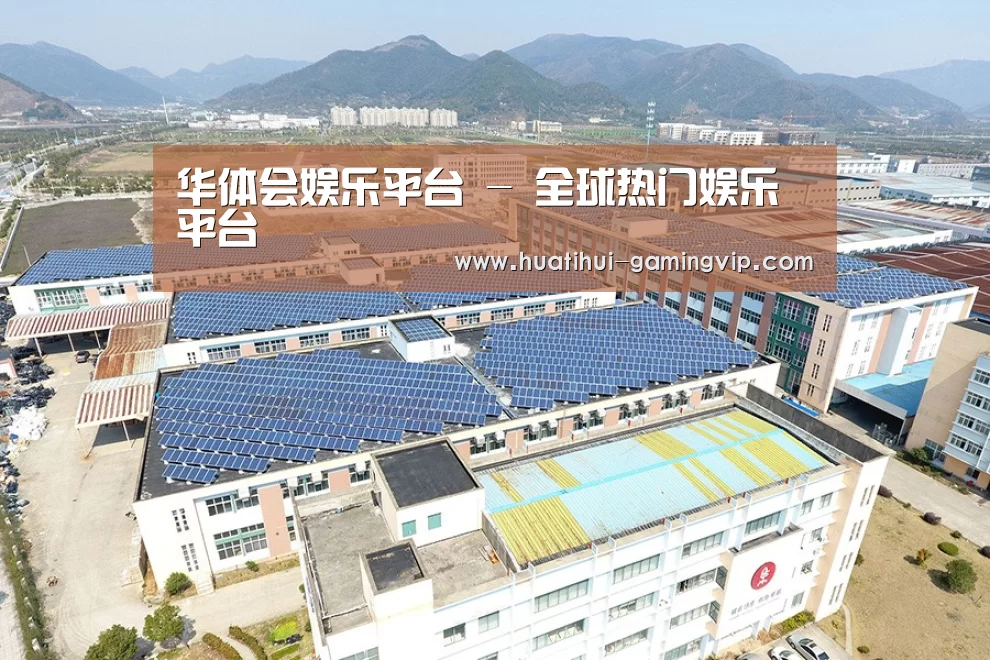 案例展示四