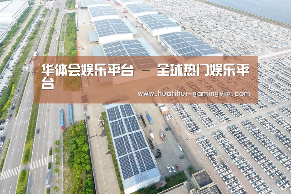 案例展示一