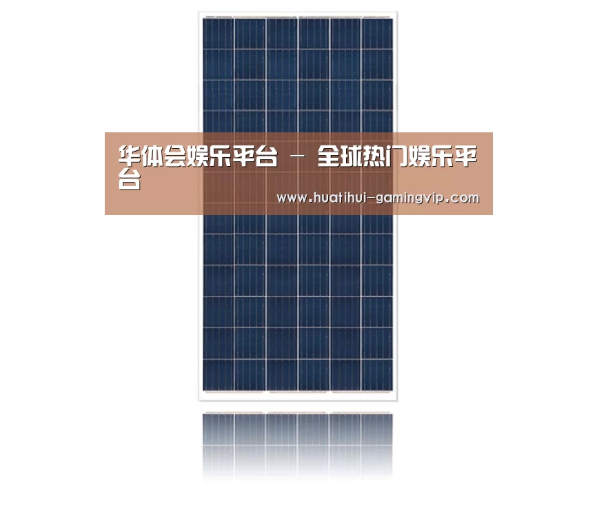 产品名称一