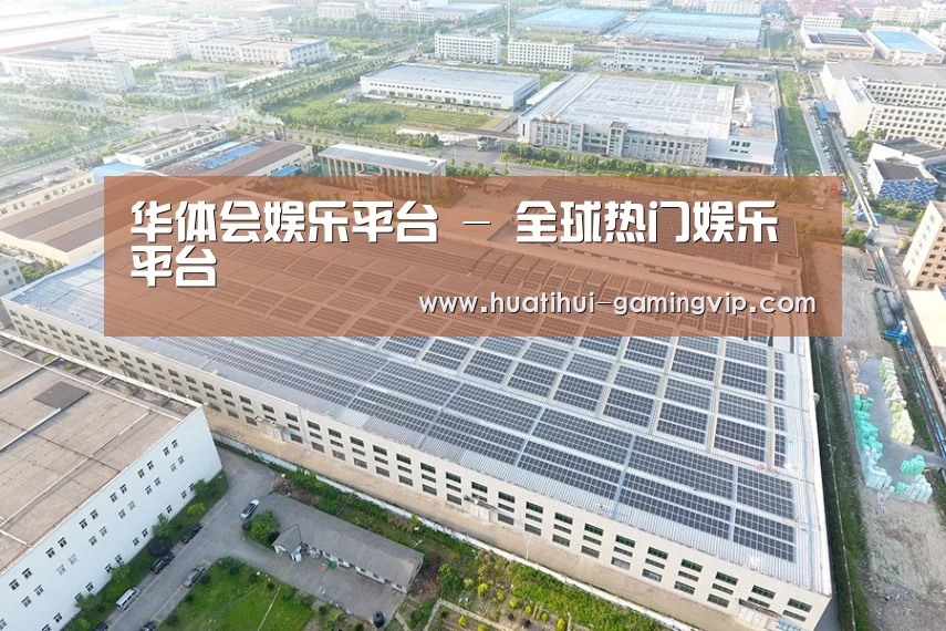 案例展示四
