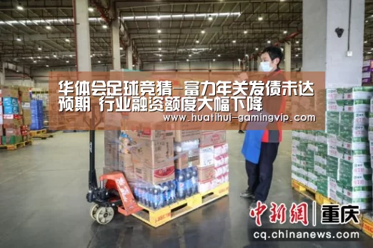 华体会足球竞猜-富力年关发债未达预期 行业融资额度大幅下降(图1) 华体会体育竞猜