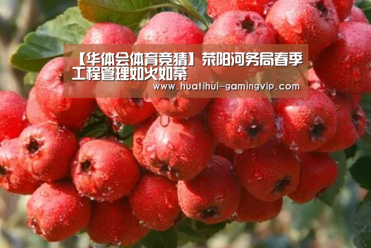 【华体会体育竞猜】荥阳河务局春季工程管理如火如荼(图3) 华体会娱乐平台