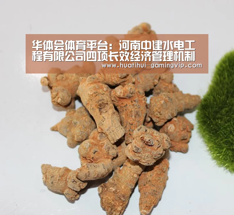 华体会体育竞猜