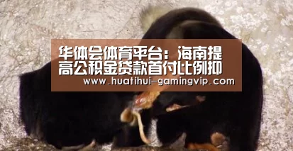 华体会娱乐平台