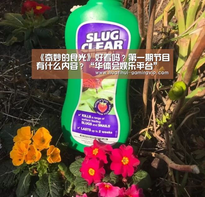 《奇妙的食光》好看吗?第一期节目有什么内容?“华体会娱乐平台”(图1) 华体会足球竞猜
